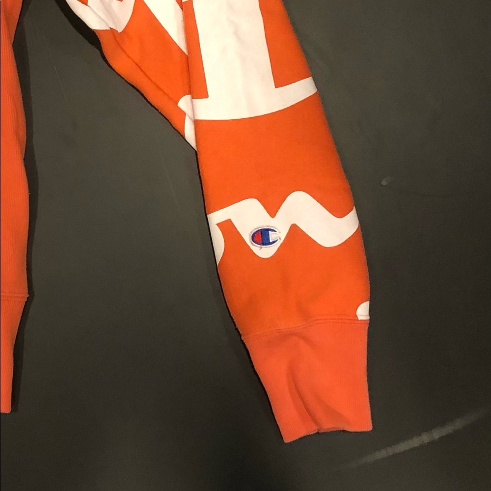 Champion Reverse Weave Large Script Hoodie - Picture 5 of 5
